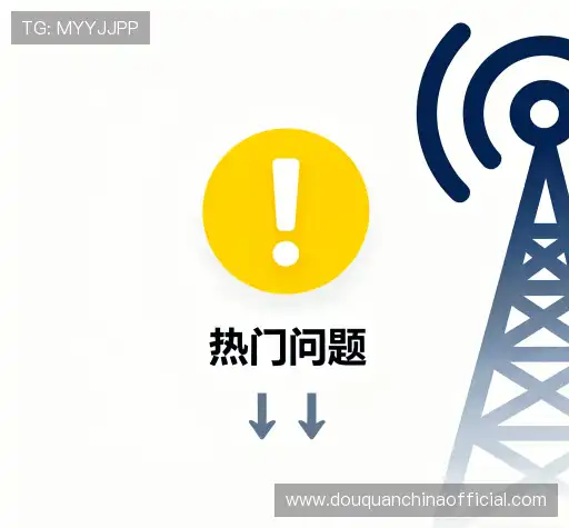疑问全解